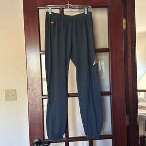 Aviator Nation Lightening Bolt sweatpants